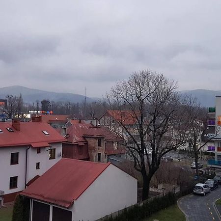 Komfortowy Nowoczesny Apartament Kustronia Z Garazem Balkonem Wanna Bielsko-Biała Eksteriør billede